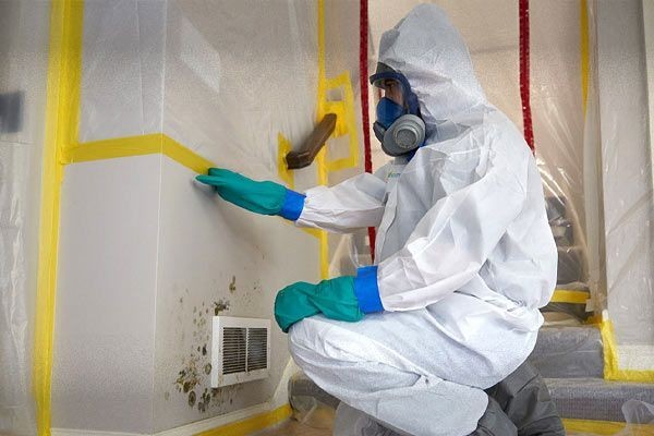 Mold Remediation Services